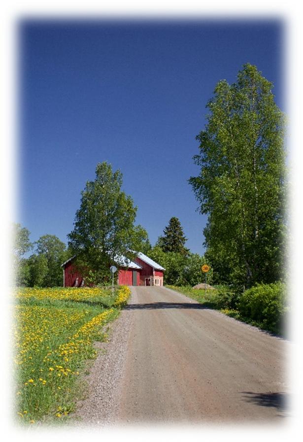 Kuva yksityisestä hiekkatiestä